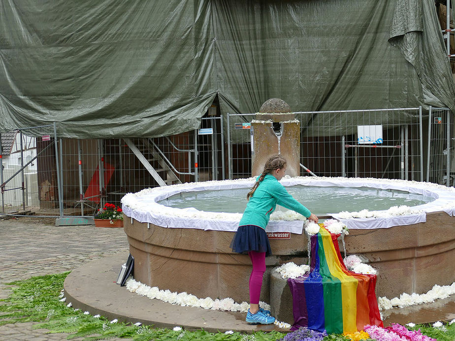 Bluemteppich auf dem Naumburegr Marktplatz (Foto: Karl-Franz Thiede)